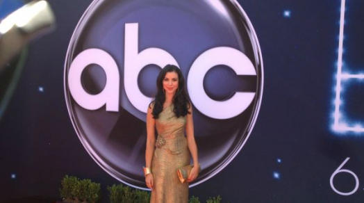 Emmy Awards Red Carpet