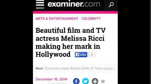 Examiner article 